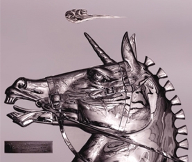 独特的行业经验